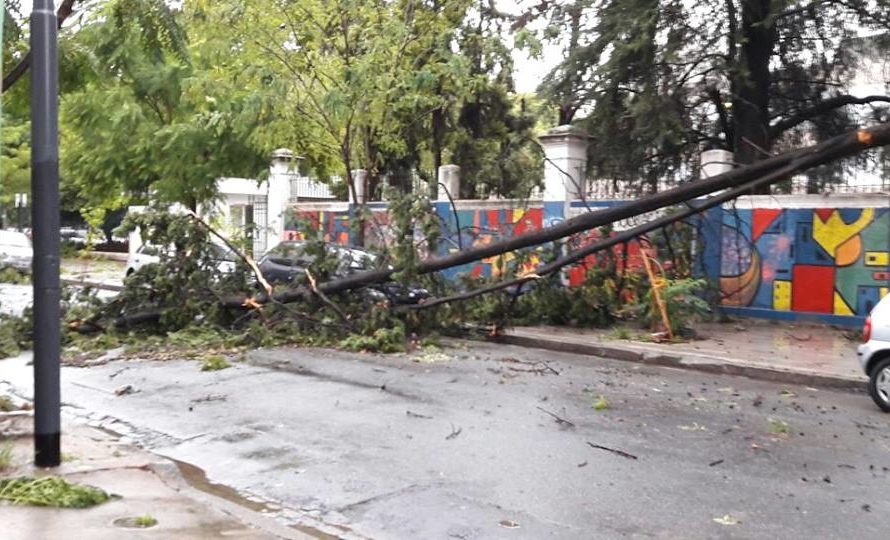 Caballito impactado por temporal de viento y lluvia